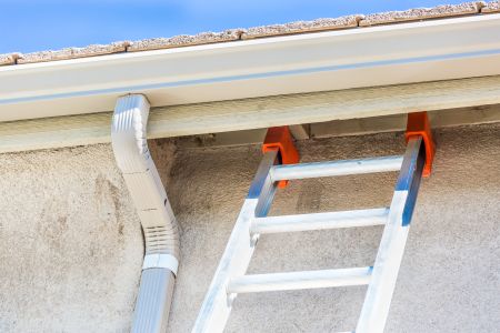 Naples home gutter cleaning
