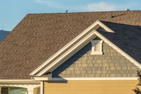 Soft Roof Cleaning Is Best For Naples Properties